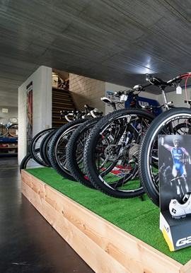shop-team-bikes.jpg